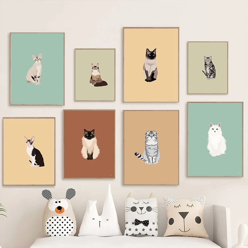 Cute Siamese Sphynx Scottish F - đánh giá và giá Home Improvement Kids